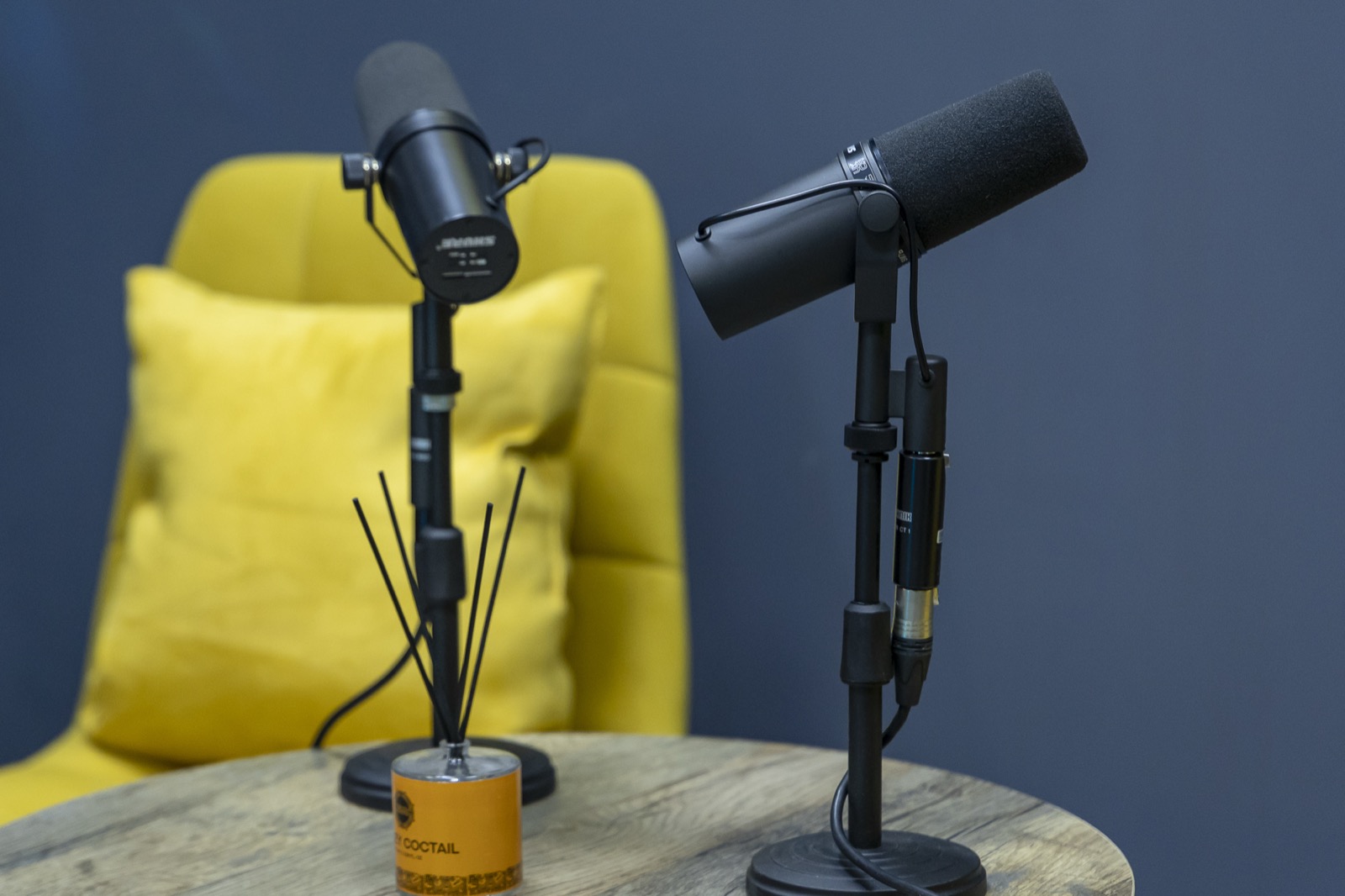 Микрофон в студии TOPSOUND